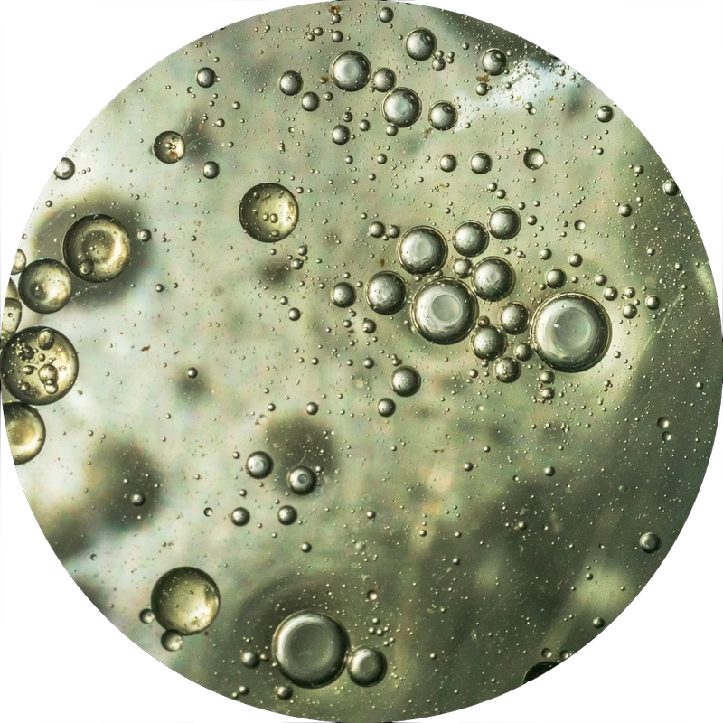 Oilfield brine extraction