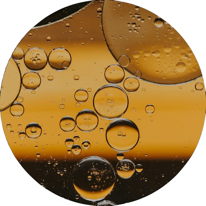Salt lake brine extraction